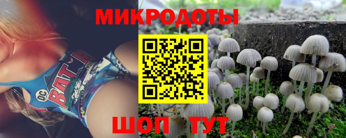 Галлюциногенные грибы Cubensis  как найти наркотики  Саров  Вход с VPN 